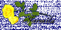 Click image for larger version

Name:	jarmila.gif
Views:	1072
Size:	61.1 KB
ID:	141266